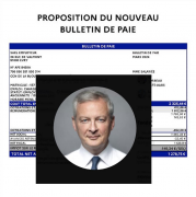 Bulletin, salaire, simplifié, cotisation, Le Maire