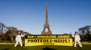 ogm, greenpeace, paris