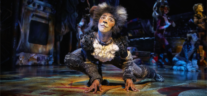 Cats est de retour depuis début octobre à Paris au Théâtre Mogador 