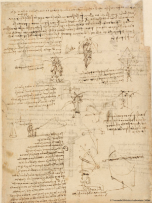 Léonard de Vinci, Etudes concernant le vol mécanique, c. 1485, Plume, encre et traces de sanguine, 215 x 286 mm, Veneranda Biblioteca Ambrosiana, Milano