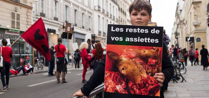 marche, abattoirs, Paris, L214