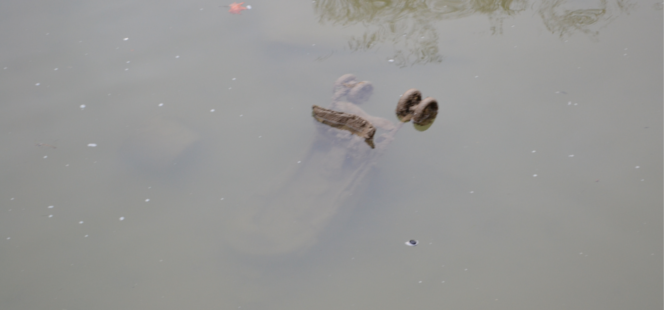 les déchets jonchent les fonds du Canal Saint Martin