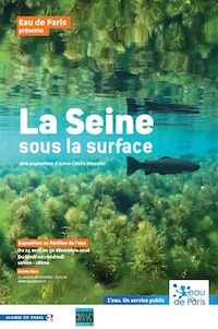 Seine surface exposition