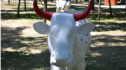 #Paris #Jardind'Acclimatation #CowParade #vache