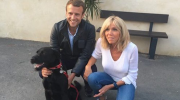 chien, SPA, Macron, Elysée, refuges