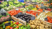 panier, 12e, coopératifs, réunion, information, 