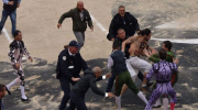 militants, anticorrida, Arles, vegan, tribunal