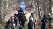 chasse à courre, perturbée, AVA, Compègne, AlainDrach, FutaieDesAmis