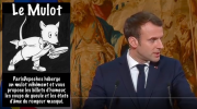 Le Mulot, Macron, voeux, presse, distant