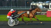 Amerique, ReadlyExpress, BoldEagle, Nivard, Vincennes