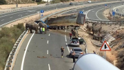 éléphants, Espagne, accident, protestations