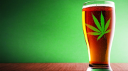 bière, cannabis, THC