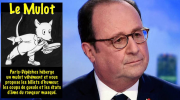Mulot, Hollande, retour