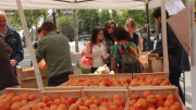 Fruits, légumes, Confédérationpaysanne, République