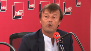 Hulot, démission, culot