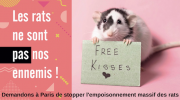 campagne, affiches, rats, métro, RATP, Zoopolis