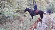 AVA, rassemblement, chasseACourre, Saint Jean aux Bois