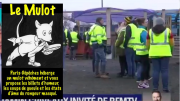 Mulot, giletsJaunes, LigneJaune