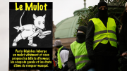 Mulot, Giletsjaunes, morts