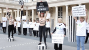 Femen, Palais-Royal, féminicides
