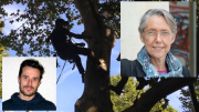 Thomas Brail, Elisabeth Borne, ministe Transition écologique, arbres, GNSA