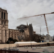 grue, Notre-Dame, grimpée