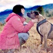 Elisa, ADN, Curtis, meute, chiens, forêt de Retz, chasse à courre