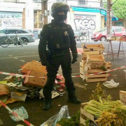 légumes, distribution, BrigadesSolidaritépopulaire