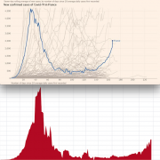 Covid19, graphiques, peur, réanimation