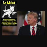 Trump, droit, bafoué