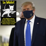 Mulot, Lion, virus, Trump
