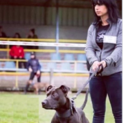 Elisa, coupable, Curtis, meute, chiens, forêt de Retz, chasse à courre