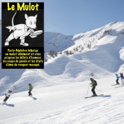 Mulot, neige, stations de ski, déconfinement