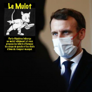 Mulot, covid19, maître, horloges, Macron