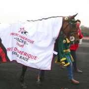 Prix d'Amérique, Face Timle Bourdon, Garato, Goop, Bazire