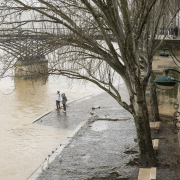 Seine, crue