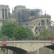 Notre-Dame, chênes, pétition, abattage