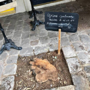 glycine, pétition, Montmartre, Plumeau