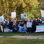 AVA, ChasseACourre, Compiègne