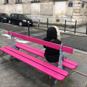 banc rose, Paris, saccageParis