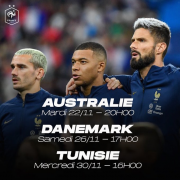 Mondial, adversaires, Bleus, Danemark