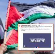 Paris, palestine, manifestation interdite, Châtelet