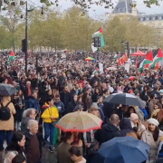 Manifestation, Palestine, cessez-le-feu, Gaza, Israël