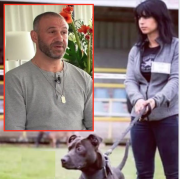 Elisa, Curtis, Ellul, correctionnel, chien