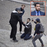 Aleandre Benall, condamné, police, Elysée