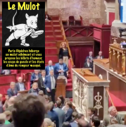 Mulot, LFI, Assemblée nationale, réforme des retraites, niche