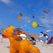 cerfs-volants, Berck, week-end