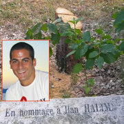 arbre, olivier, hommage, Ilan Halimi, juif, 2006, Epinay
