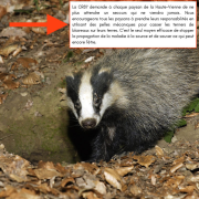 Lumoisin, coordination rurale 87, ASPA, blaireaux, de, 