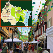 Alsace, Grand-Est, sortir, Parlement